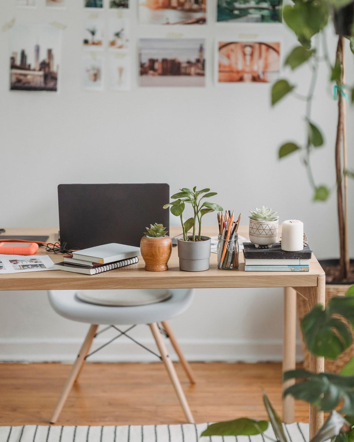 A calm desk with plants, notebooks, and a laptop